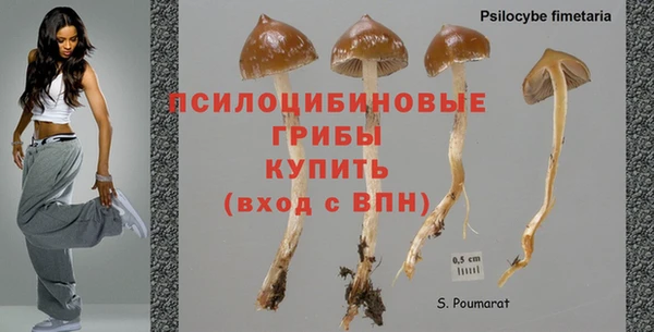 гидра Абинск
