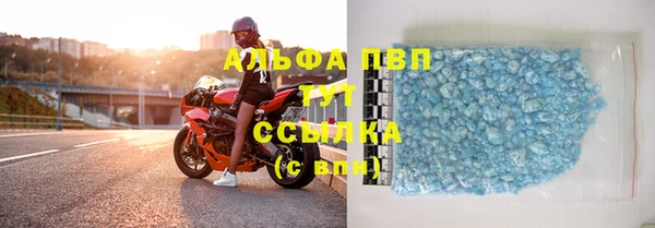 дживик Майский