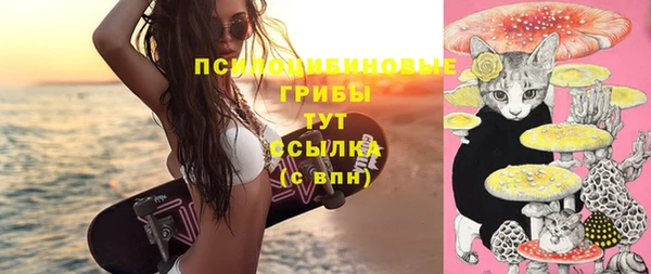 не бодяженный Абаза