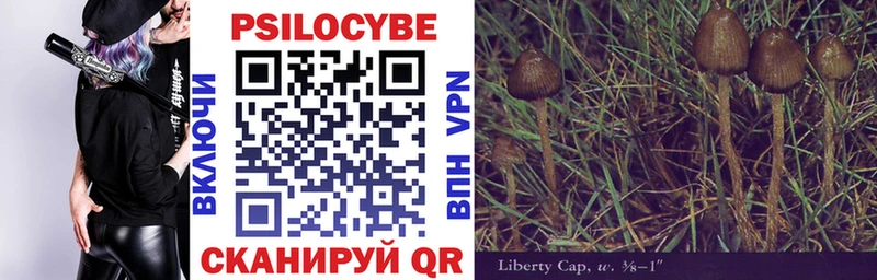Галлюциногенные грибы Psilocybe наркошоп Урень